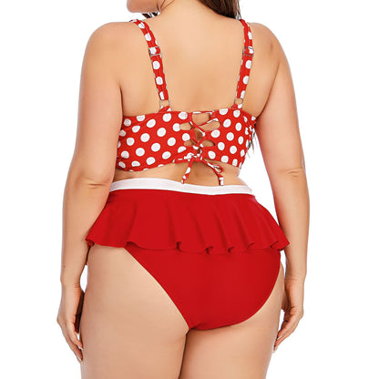 Large Plus Size Swimwear Female Push Up Bikini With